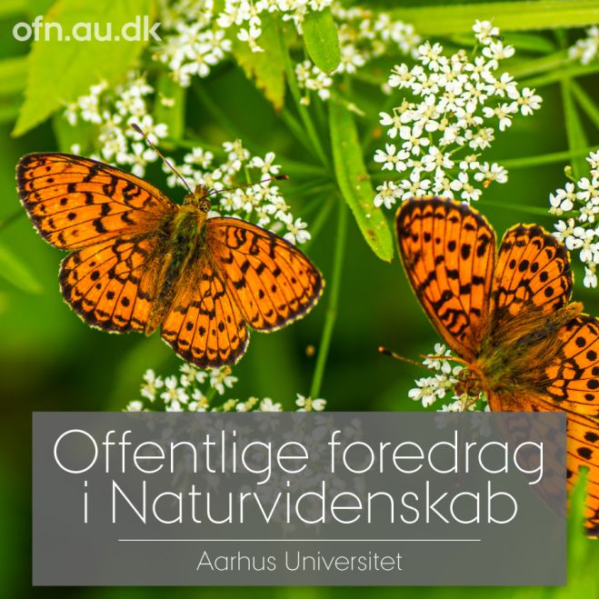 Fremtidens natur – et foredrag på Fur Museum tirsdag 8. februar 2022