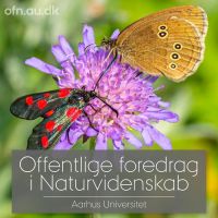 Red insekterne