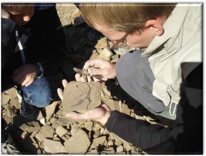 MUSE®UM Fur Fossiler 55.000.000 år - Fossiljagt og andre sommeraktiviteter for hele familien