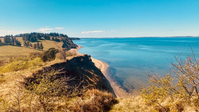 Foreningen Fur Brand - opdateret portræt