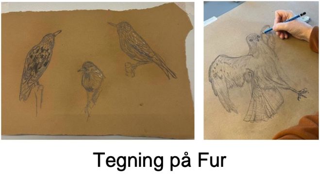 Tegning på Fur - Kom og tegn - Fuld fart på blyant, tus og kul - Der er plads torsdag aften