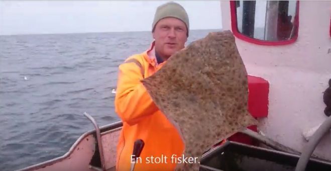 På Fisketur på Nordsøen - se video