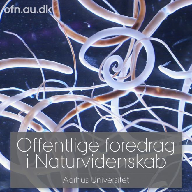 Er parasitter og mikrober – vores fjender? Foredrag på Fur Museum