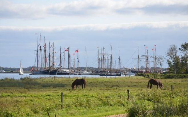 Limfjorden Rundt anløber Fur