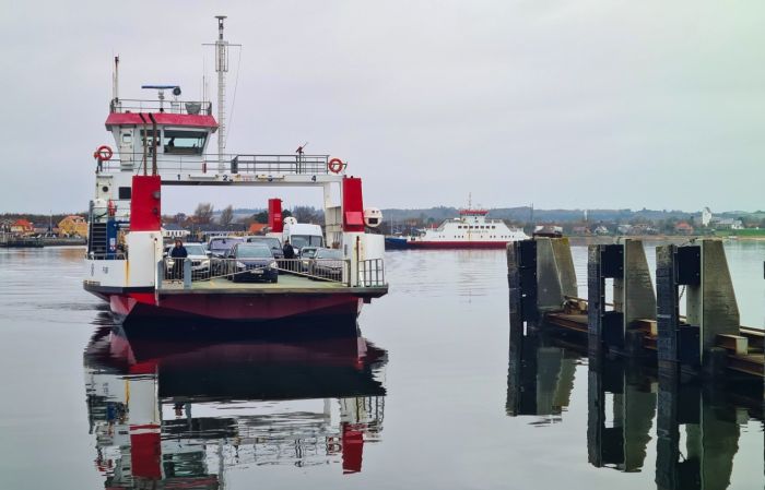 Dagens gode nyhed den 11. december 2025