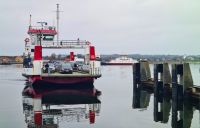 Dagens gode nyhed den 11. december 2025