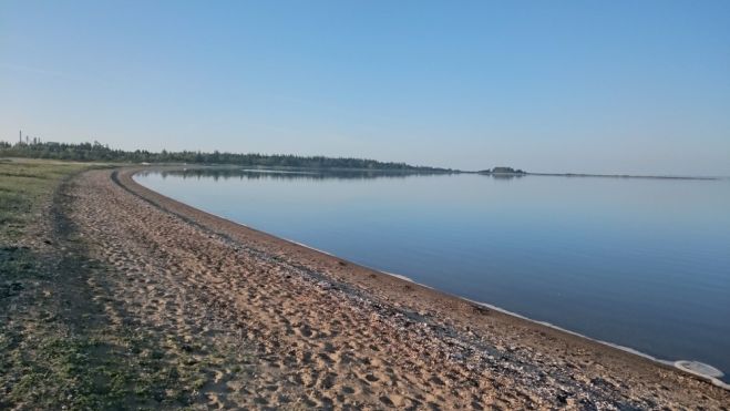 Strandrensning