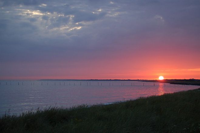 Sommer på FurNyt