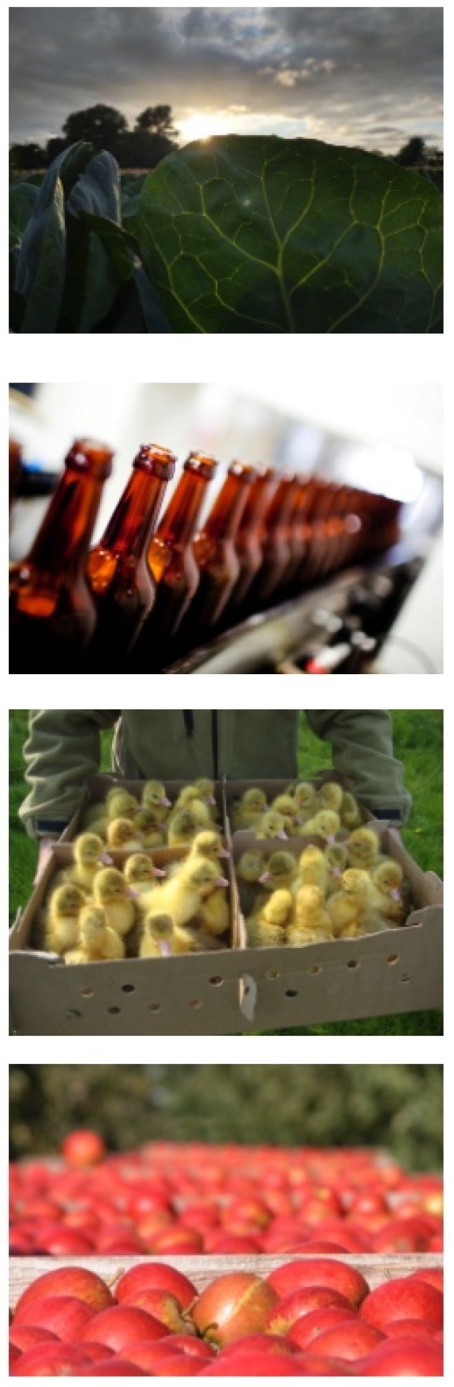 Webinar: Sådan laver du markedsføring der virker For fødevareproducenter og spisesteder på småøerne - Torsdag d. 27. marts kl. 19 – tilmelding er ikke nødvendig