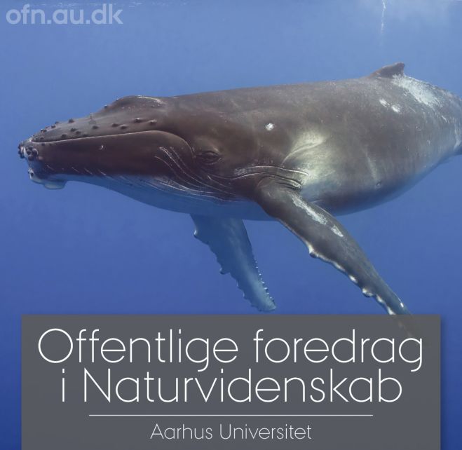 Foredrag på Fur Museum om havets kæmper - Tirsdag den 6. oktober 2026