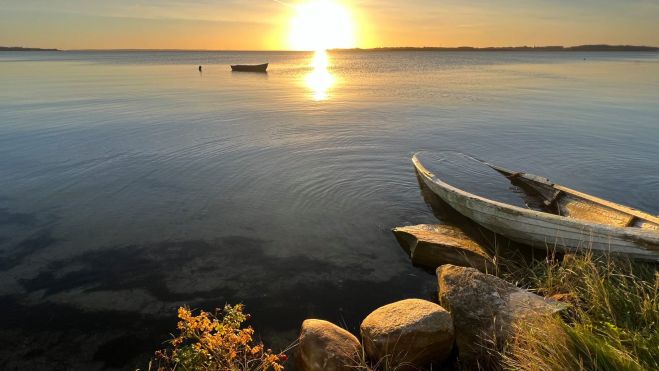 Generalforsamling i Foreningen FurNyt -  28. april 2026 fra kl. 19.00 i Fur Væksthus